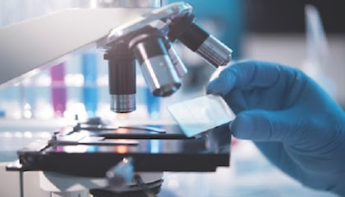 is zealpozold safe to use